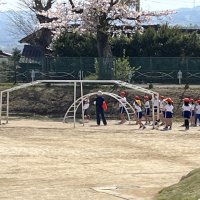 満開の桜の木の下で！体育の授業