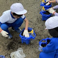 ２年生が生活科で「種まき」をしました！大きく育ってほしい