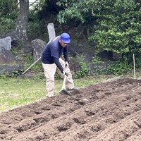 生活科授業「イモ苗植え」の準備！大きな機械で畑を耕してくれました