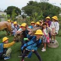 １年生校外学習「かみね公園・かみね動物園」！たくさんの種類の動物たちがいました