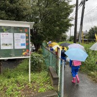 雨の日のとある朝の登校風景！すっかり涼しくなりました