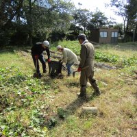 地域農家とはぎッズ応援隊による「サツマイモ掘り」準備！ありがとうございました